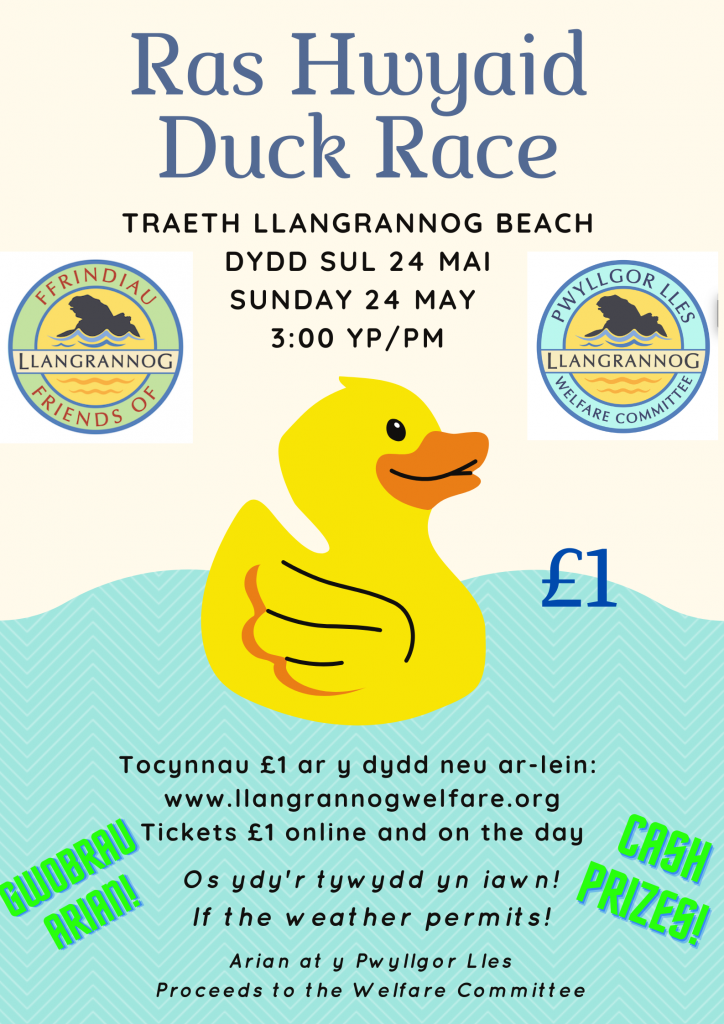 Ras Hwyaid Duck Race Poster 
